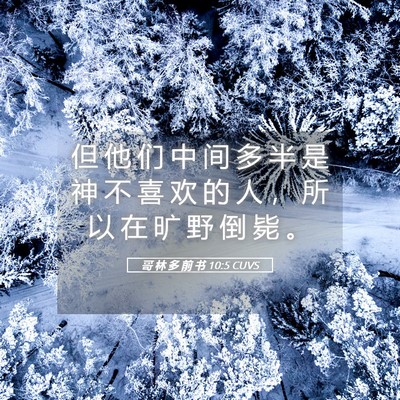 Picture 05 - 哥 林 多 前 书 10:5 CUVS - 但 他 们 中 间 多 半 是 神 不 喜 欢 - Bible Verse Picture