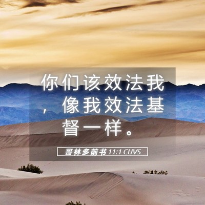 Picture 05 - 哥 林 多 前 书 11:1 CUVS - 你 们 该 效 法 我 ， 像 我 效 法 基 - Bible Verse Picture