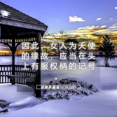 Picture 05 - 哥 林 多 前 书 11:10 CUVS - 因 此 ， 女 人 为 天 使 的 缘 故 ， - Bible Verse Picture