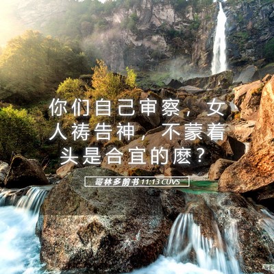 Picture 05 - 哥 林 多 前 书 11:13 CUVS - 你 们 自 己 审 察 ， 女 人 祷 告 神 - Bible Verse Picture