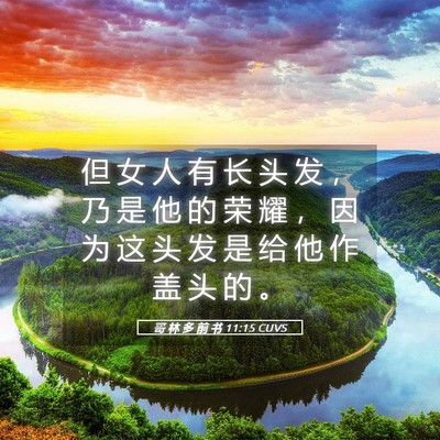 Picture 05 - 哥 林 多 前 书 11:15 CUVS - 但 女 人 有 长 头 发 ， 乃 是 他 的 - Bible Verse Picture