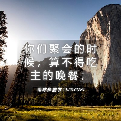 Picture 05 - 哥 林 多 前 书 11:20 CUVS - 你 们 聚 会 的 时 候 ， 算 不 得 吃 - Bible Verse Picture