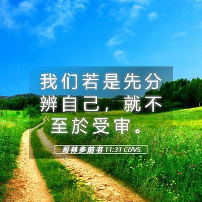 Picture 05 - 哥 林 多 前 书 11:31 CUVS - 我 们 若 是 先 分 辨 自 己 ， 就 不 - Bible Verse Picture