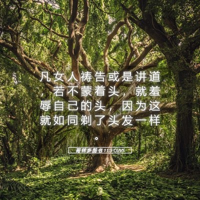 Picture 05 - 哥 林 多 前 书 11:5 CUVS - 凡 女 人 祷 告 或 是 讲 道 ， 若 不 - Bible Verse Picture