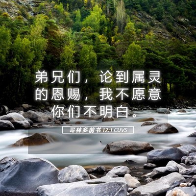 Picture 05 - 哥 林 多 前 书 12:1 CUVS - 弟 兄 们 ， 论 到 属 灵 的 恩 赐 ， - Bible Verse Picture