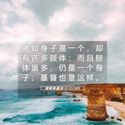 Picture 05 - 哥 林 多 前 书 12:12 CUVS - 就 如 身 子 是 一 个 ， 却 有 许 多 - Bible Verse Picture
