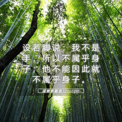 Picture 05 - 哥 林 多 前 书 12:15 CUVS - 设 若 脚 说 ： 我 不 是 手 ， 所 以 - Bible Verse Picture