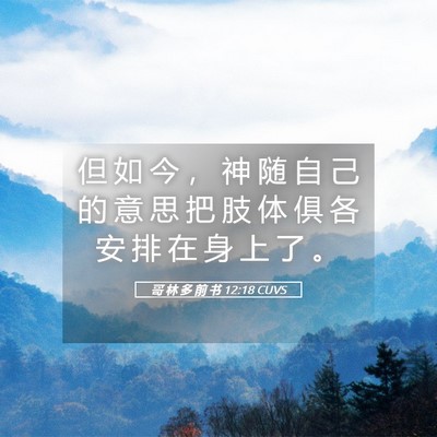 Picture 05 - 哥 林 多 前 书 12:18 CUVS - 但 如 今 ， 神 随 自 己 的 意 思 把 - Bible Verse Picture