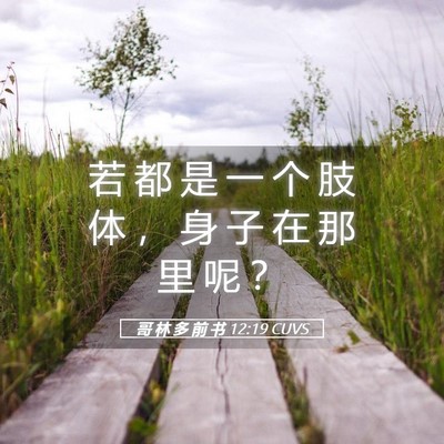 Picture 05 - 哥 林 多 前 书 12:19 CUVS - 若 都 是 一 个 肢 体 ， 身 子 在 那 - Bible Verse Picture