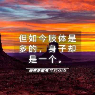 Picture 05 - 哥 林 多 前 书 12:20 CUVS - 但 如 今 肢 体 是 多 的 ， 身 子 却 - Bible Verse Picture