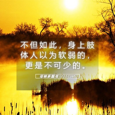 Picture 05 - 哥 林 多 前 书 12:22 CUVS - 不 但 如 此 ， 身 上 肢 体 人 以 为 - Bible Verse Picture
