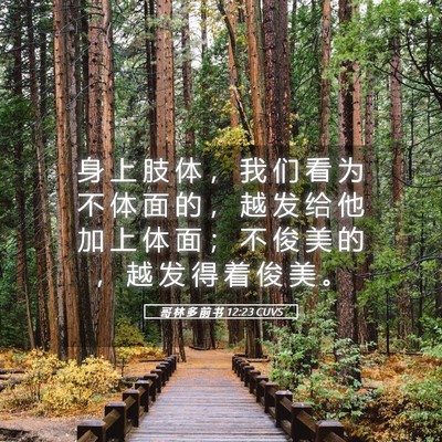 Picture 05 - 哥 林 多 前 书 12:23 CUVS - 身 上 肢 体 ， 我 们 看 为 不 体 面 - Bible Verse Picture