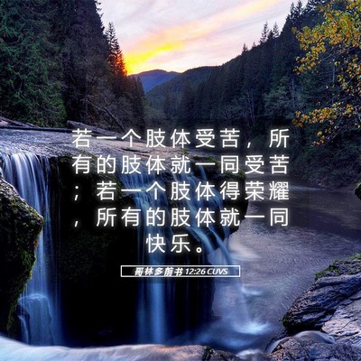 Picture 05 - 哥 林 多 前 书 12:26 CUVS - 若 一 个 肢 体 受 苦 ， 所 有 的 肢 - Bible Verse Picture