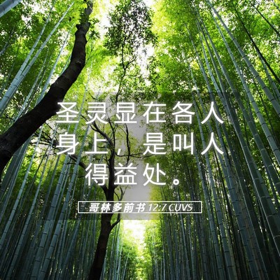 Picture 05 - 哥 林 多 前 书 12:7 CUVS - 圣 灵 显 在 各 人 身 上 ， 是 叫 人 - Bible Verse Picture