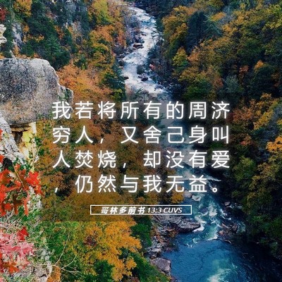 Picture 05 - 哥 林 多 前 书 13:3 CUVS - 我 若 将 所 有 的 周 济 穷 人 ， 又 - Bible Verse Picture