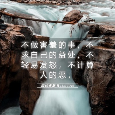 Picture 05 - 哥 林 多 前 书 13:5 CUVS - 不 做 害 羞 的 事 ， 不 求 自 己 的 - Bible Verse Picture
