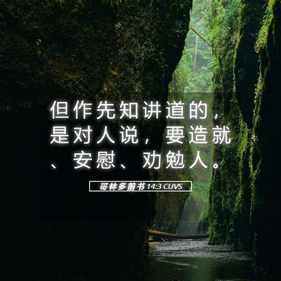 Picture 05 - 哥 林 多 前 书 14:3 CUVS - 但 作 先 知 讲 道 的 ， 是 对 人 说 - Bible Verse Picture