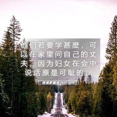 Picture 05 - 哥 林 多 前 书 14:35 CUVS - 他 们 若 要 学 甚 麽 ， 可 以 在 家 - Bible Verse Picture