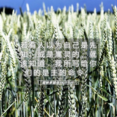 Picture 05 - 哥 林 多 前 书 14:37 CUVS - 若 有 人 以 为 自 己 是 先 知 ， 或 - Bible Verse Picture