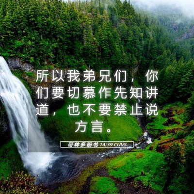 Picture 05 - 哥 林 多 前 书 14:39 CUVS - 所 以 我 弟 兄 们 ， 你 们 要 切 慕 - Bible Verse Picture