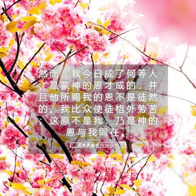 Picture 05 - 哥 林 多 前 书 15:10 CUVS - 然 而 ， 我 今 日 成 了 何 等 人 ， - Bible Verse Picture