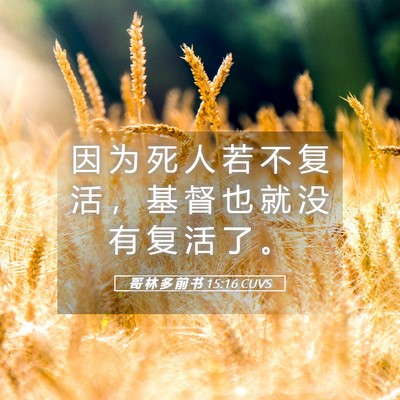 Picture 05 - 哥 林 多 前 书 15:16 CUVS - 因 为 死 人 若 不 复 活 ， 基 督 也 - Bible Verse Picture