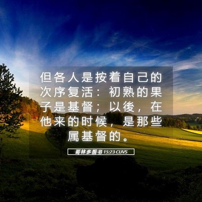 Picture 05 - 哥 林 多 前 书 15:23 CUVS - 但 各 人 是 按 着 自 己 的 次 序 复 - Bible Verse Picture