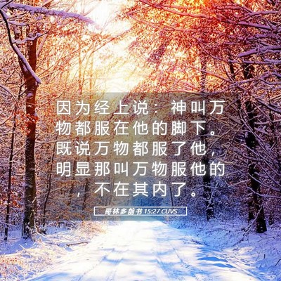 Picture 05 - 哥 林 多 前 书 15:27 CUVS - 因 为 经 上 说 ： 神 叫 万 物 都 服 - Bible Verse Picture