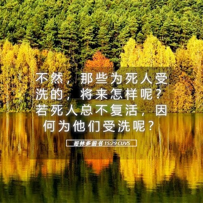 Picture 05 - 哥 林 多 前 书 15:29 CUVS - 不 然 ， 那 些 为 死 人 受 洗 的 ， - Bible Verse Picture