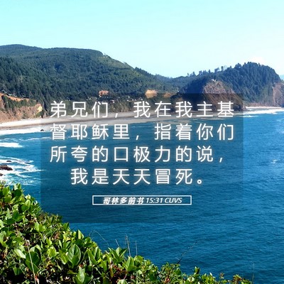 Picture 05 - 哥 林 多 前 书 15:31 CUVS - 弟 兄 们 ， 我 在 我 主 基 督 耶 稣 - Bible Verse Picture