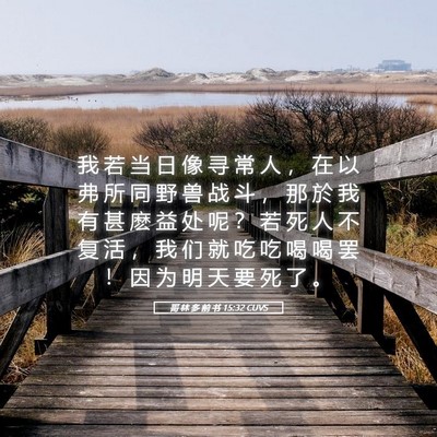 Picture 05 - 哥 林 多 前 书 15:32 CUVS - 我 若 当 日 像 寻 常 人 ， 在 以 弗 - Bible Verse Picture