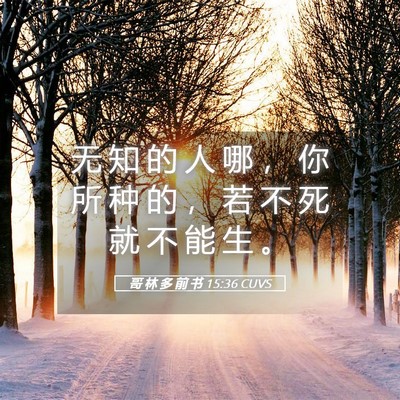 Picture 05 - 哥 林 多 前 书 15:36 CUVS - 无 知 的 人 哪 ， 你 所 种 的 ， 若 - Bible Verse Picture