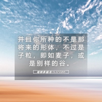 Picture 05 - 哥 林 多 前 书 15:37 CUVS - 并 且 你 所 种 的 不 是 那 将 来 的 - Bible Verse Picture