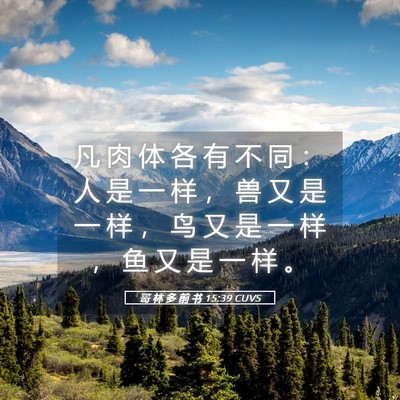 Picture 05 - 哥 林 多 前 书 15:39 CUVS - 凡 肉 体 各 有 不 同 ： 人 是 一 样 - Bible Verse Picture