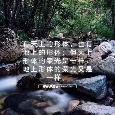 Picture 05 - 哥 林 多 前 书 15:40 CUVS - 有 天 上 的 形 体 ， 也 有 地 上 的 - Bible Verse Picture