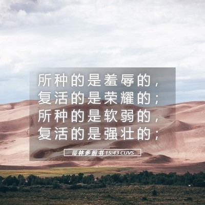 Picture 05 - 哥 林 多 前 书 15:43 CUVS - 所 种 的 是 羞 辱 的 ， 复 活 的 是 - Bible Verse Picture