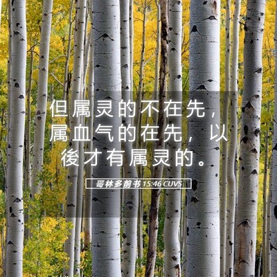 Picture 05 - 哥 林 多 前 书 15:46 CUVS - 但 属 灵 的 不 在 先 ， 属 血 气 的 - Bible Verse Picture