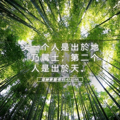 Picture 05 - 哥 林 多 前 书 15:47 CUVS - 头 一 个 人 是 出 於 地 ， 乃 属 土 - Bible Verse Picture