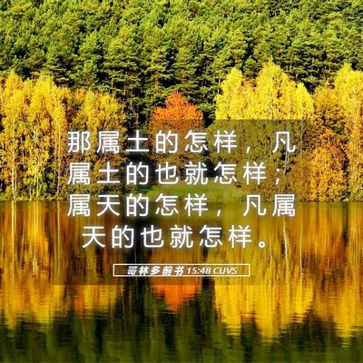 Picture 05 - 哥 林 多 前 书 15:48 CUVS - 那 属 土 的 怎 样 ， 凡 属 土 的 也 - Bible Verse Picture