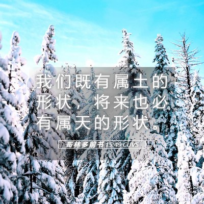Picture 05 - 哥 林 多 前 书 15:49 CUVS - 我 们 既 有 属 土 的 形 状 ， 将 来 - Bible Verse Picture