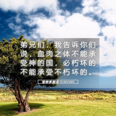 Picture 05 - 哥 林 多 前 书 15:50 CUVS - 弟 兄 们 ， 我 告 诉 你 们 说 ， 血 - Bible Verse Picture