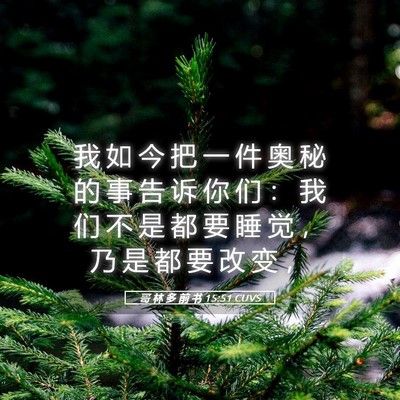 Picture 05 - 哥 林 多 前 书 15:51 CUVS - 我 如 今 把 一 件 奥 秘 的 事 告 诉 - Bible Verse Picture