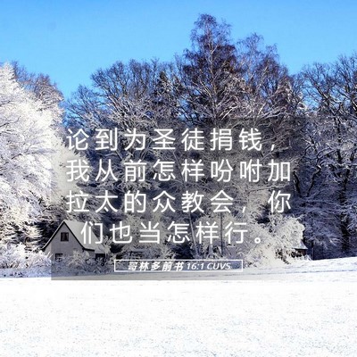 Picture 05 - 哥 林 多 前 书 16:1 CUVS - 论 到 为 圣 徒 捐 钱 ， 我 从 前 怎 - Bible Verse Picture