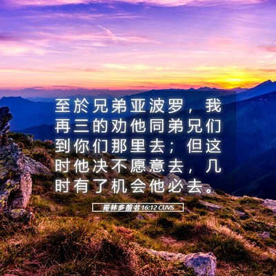 Picture 05 - 哥 林 多 前 书 16:12 CUVS - 至 於 兄 弟 亚 波 罗 ， 我 再 三 的 - Bible Verse Picture