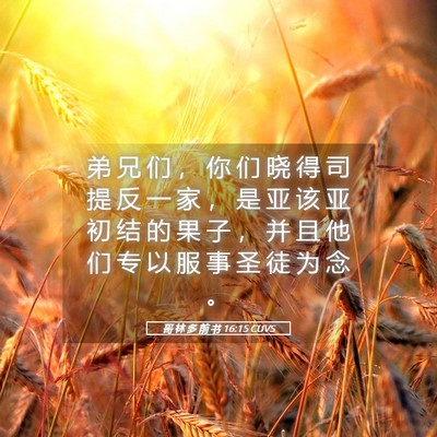 Picture 05 - 哥 林 多 前 书 16:15 CUVS - 弟 兄 们 ， 你 们 晓 得 司 提 反 一 - Bible Verse Picture