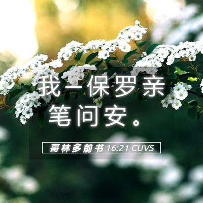Picture 05 - 哥 林 多 前 书 16:21 CUVS - 我 ─ 保 罗 亲 笔 问 安 - Bible Verse Picture