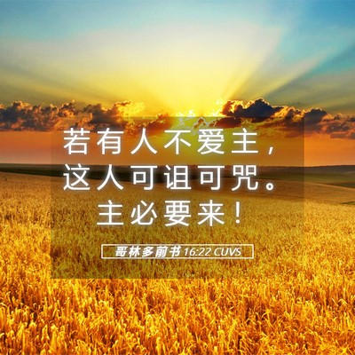 Picture 05 - 哥 林 多 前 书 16:22 CUVS - 若 有 人 不 爱 主 ， 这 人 可 诅 可 - Bible Verse Picture