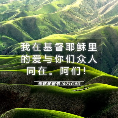 Picture 05 - 哥 林 多 前 书 16:24 CUVS - 我 在 基 督 耶 稣 里 的 爱 与 你 们 - Bible Verse Picture