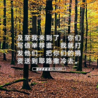 Picture 05 - 哥 林 多 前 书 16:3 CUVS - 及 至 我 来 到 了 ， 你 们 写 信 举 - Bible Verse Picture