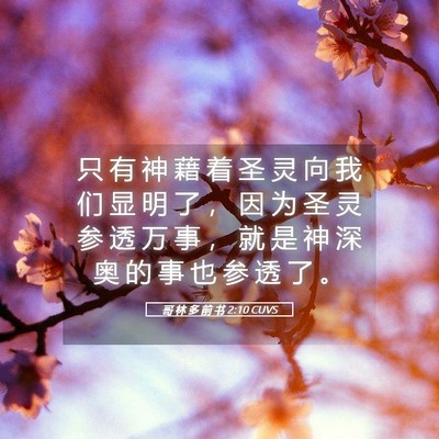 Picture 05 - 哥 林 多 前 书 2:10 CUVS - 只 有 神 藉 着 圣 灵 向 我 们 显 明 - Bible Verse Picture